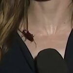 Scarafaggio sul collo della giornalista
