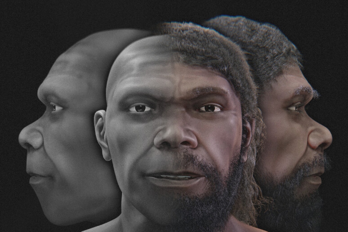 homo sapiens restituzione artistica