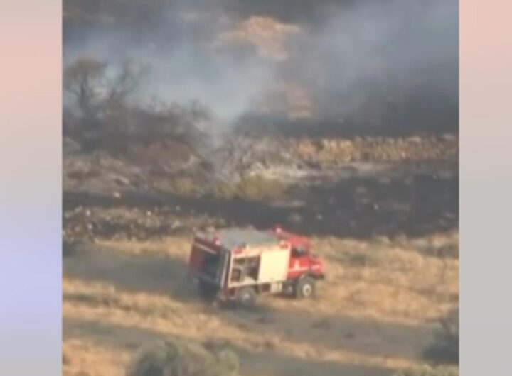 incendi grecia