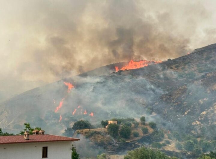 incendio collina