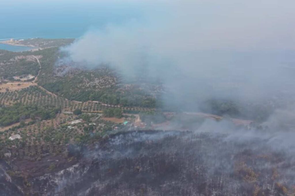 Incendio Gargano