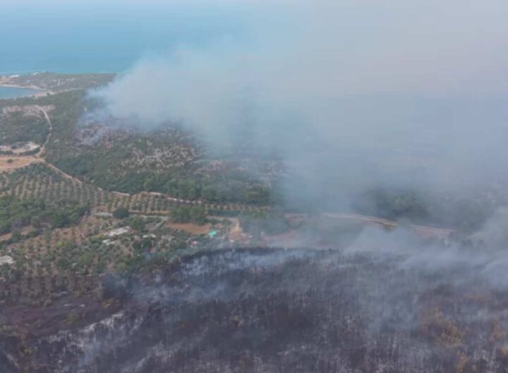 Incendio Gargano