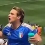 Tifoso dell'Italia