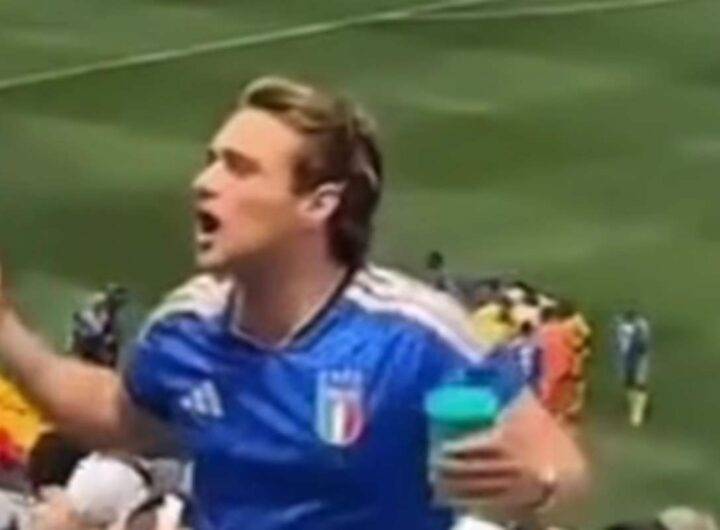 Tifoso dell'Italia