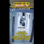 Il video dell’orso che forza la porta di una stanza d’albergo in Tibet