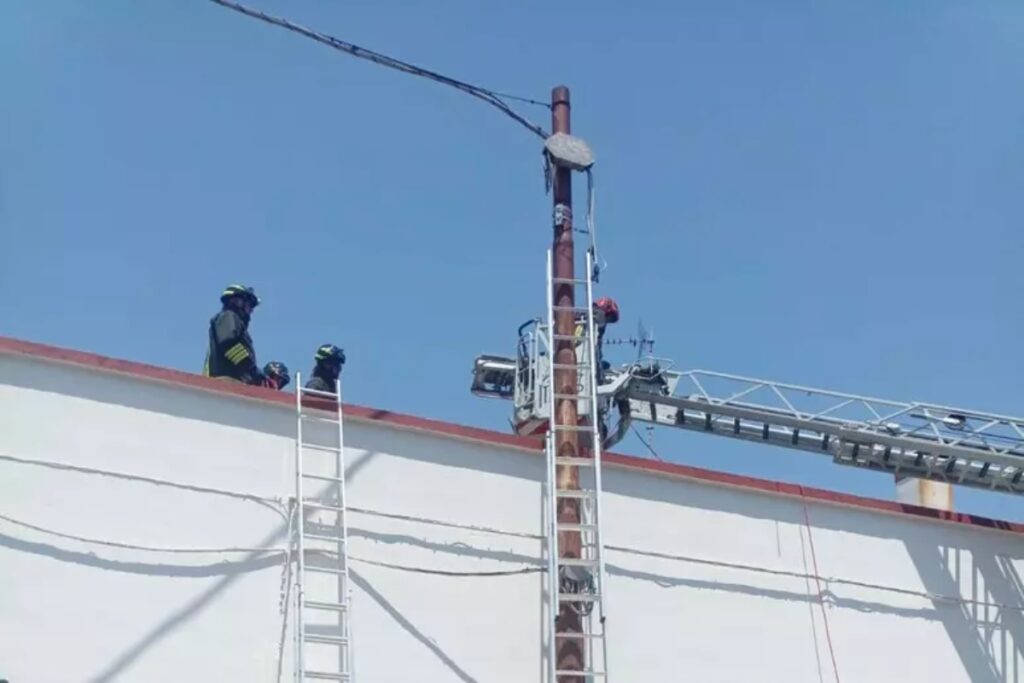 impianto fibra