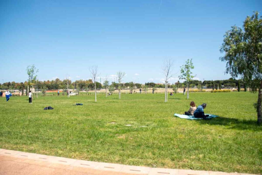 Un parco pubblico