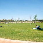 Un parco pubblico