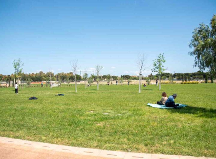 Un parco pubblico