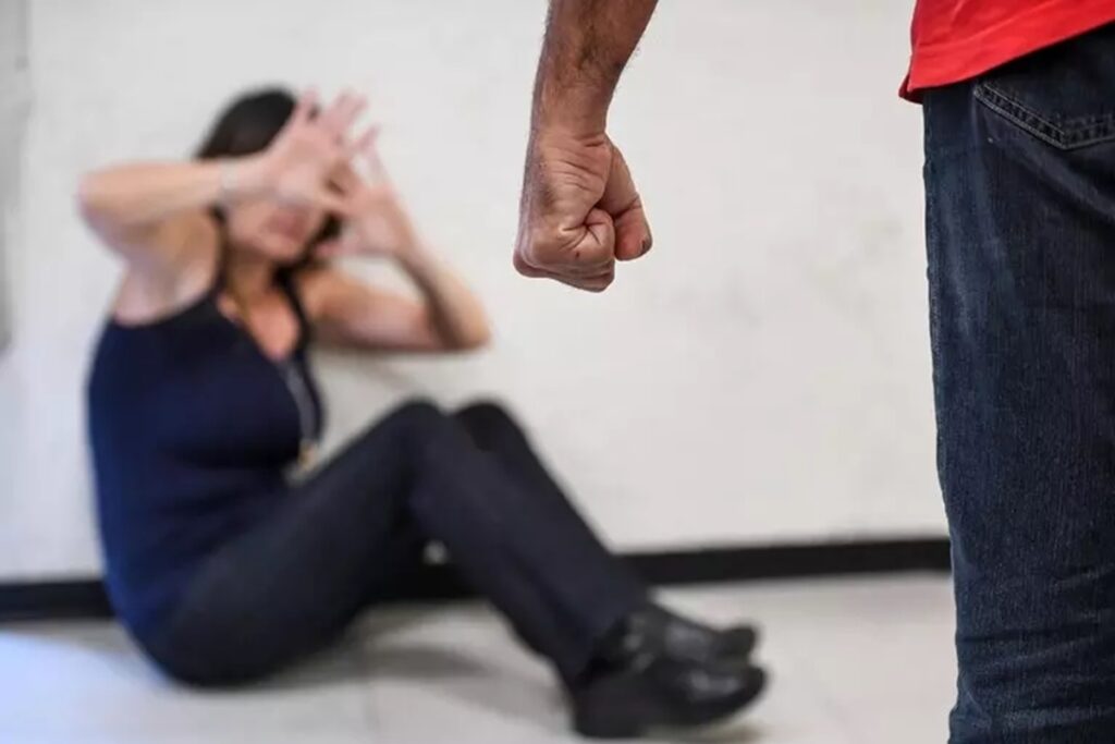 Violenza domestica