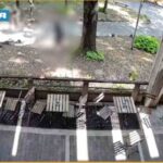 Il video della rissa alla stazione di Monza, 20enne prova ad accoltellare un 30enne