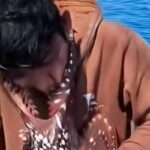 polpo pescatore