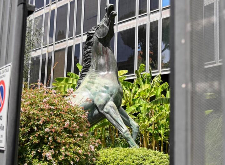 cavallo rai