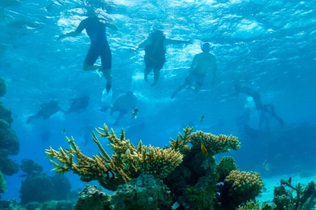 snorkeling