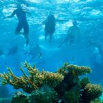 snorkeling