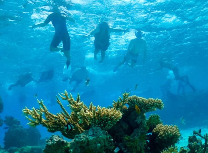 snorkeling