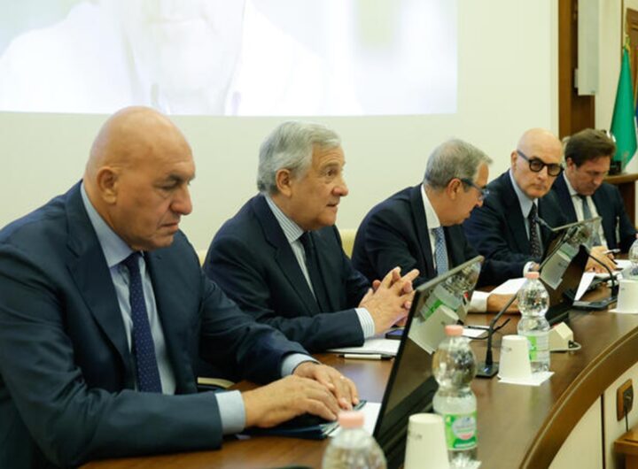 tajani e crosetto