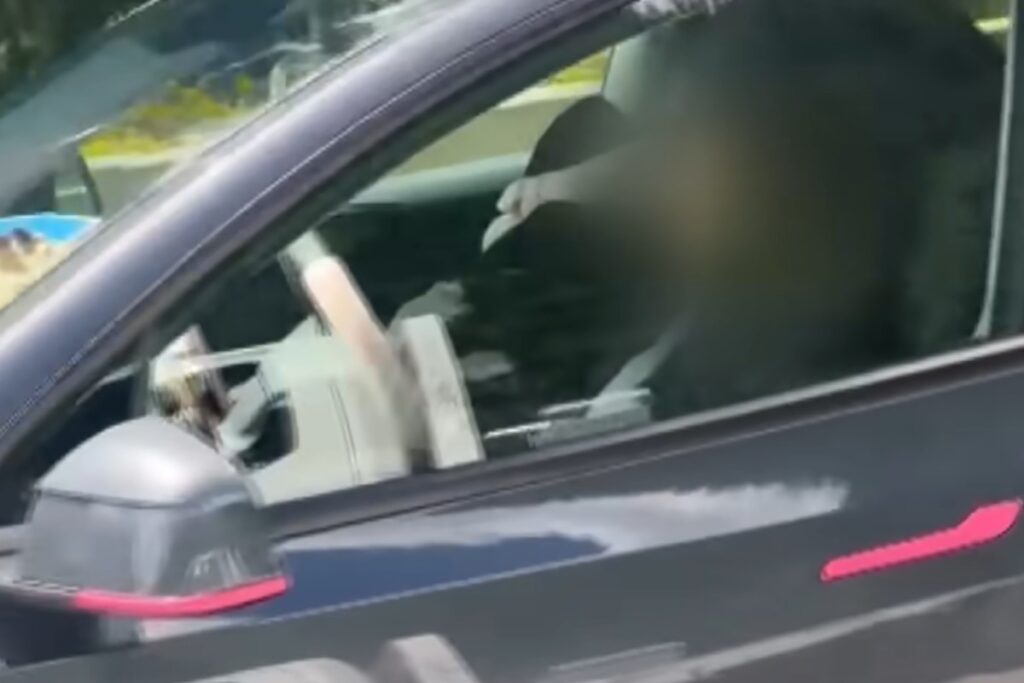 tesla guida autonoma