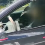 tesla guida autonoma