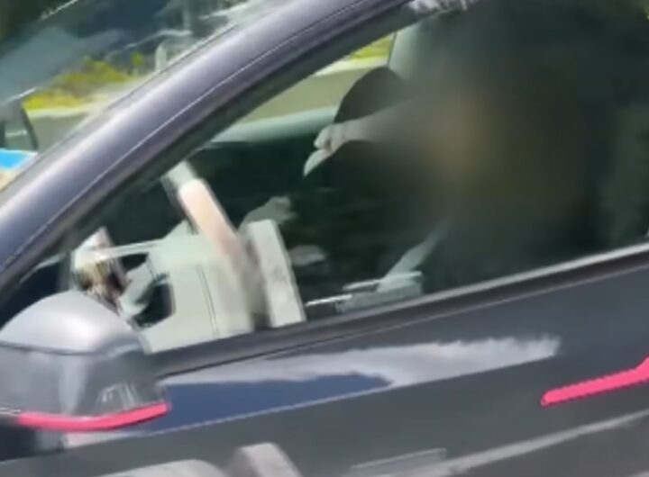 tesla guida autonoma