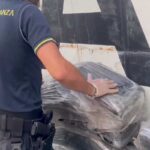Guardia di Finanza
