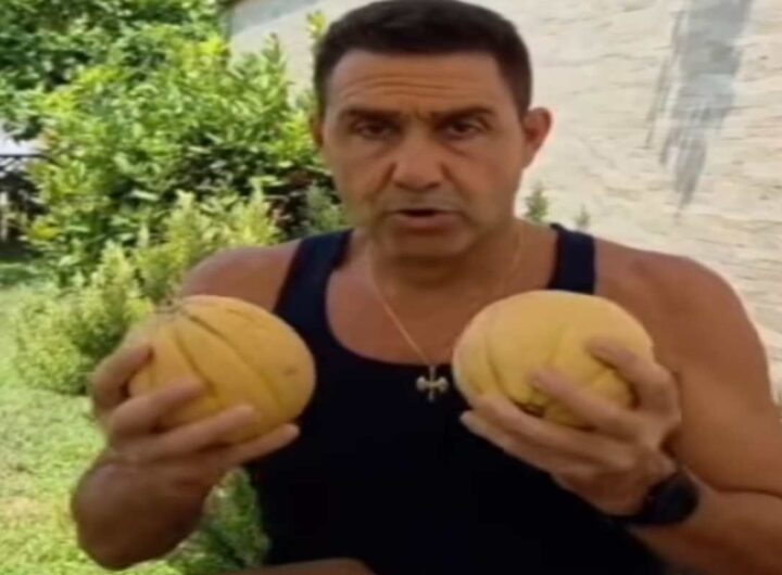 Vannacci