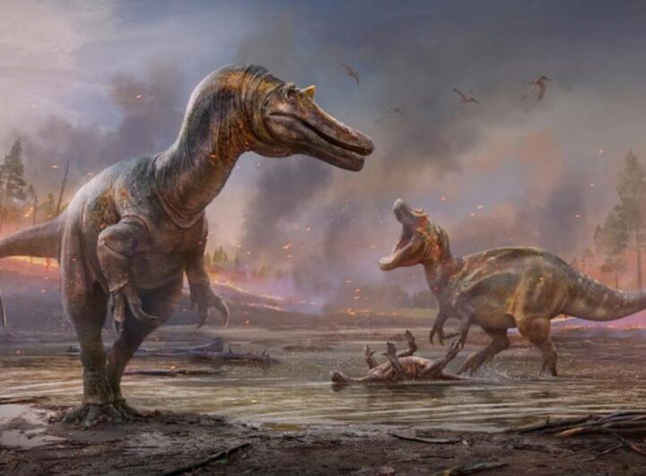 Dinosauri estinti