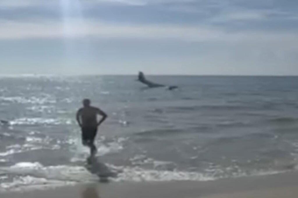 Aereo in mare