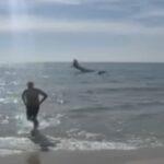 Aereo in mare