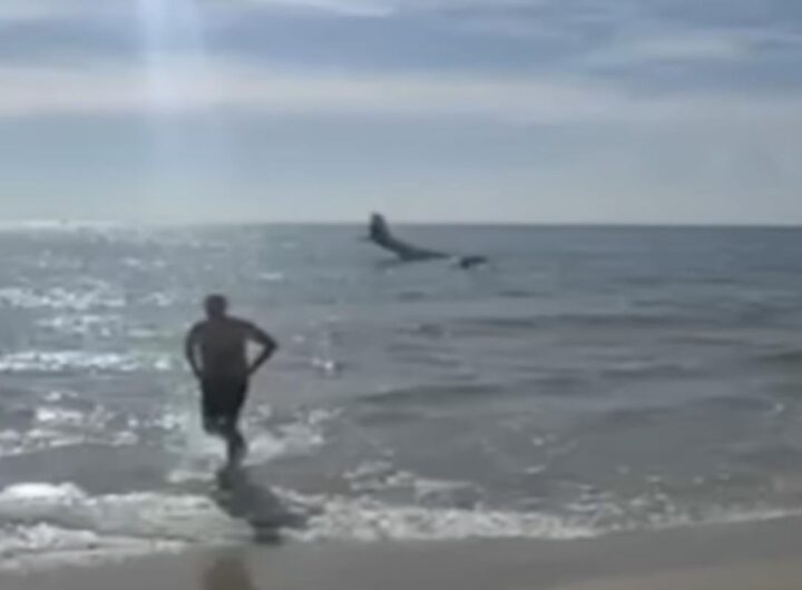 Aereo in mare