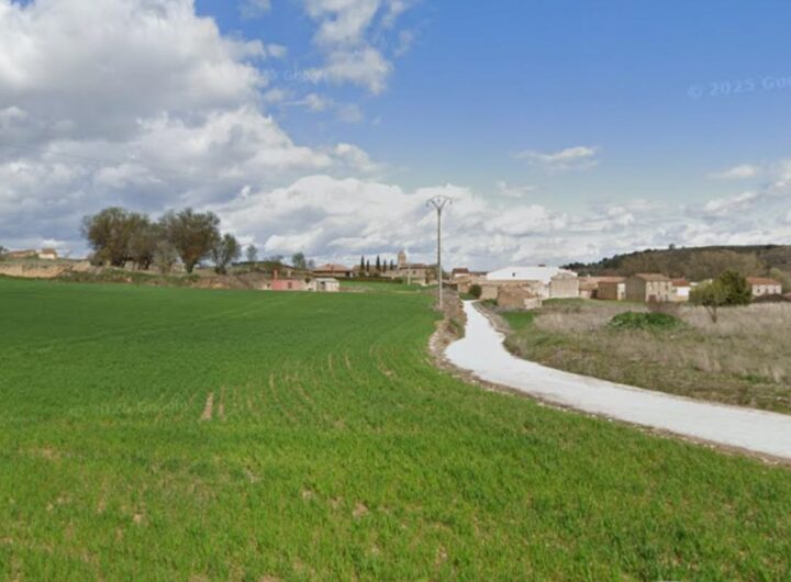 Avellanosa de Muñó