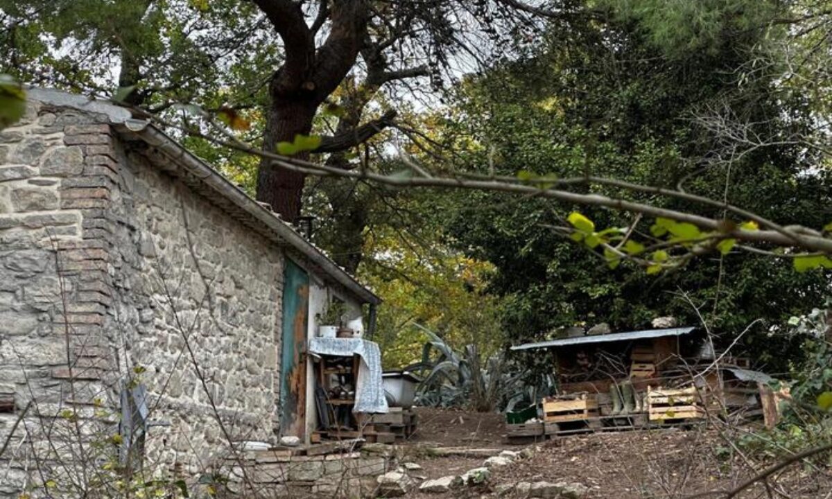 famiglia nel bosco