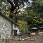 famiglia nel bosco