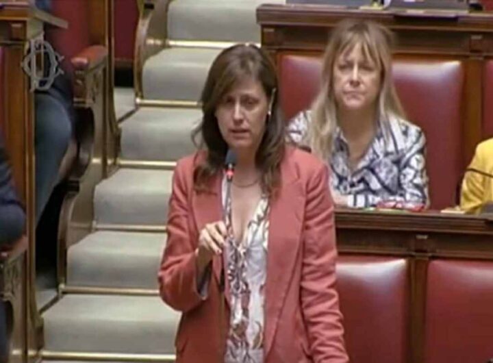 L'onorevole Braga del Pd annuncia la morte di Guccini alla Camera