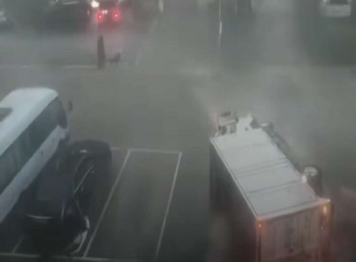 Il video del camion che si ribalta su un fianco in Cina a causa del tifone Dolphin