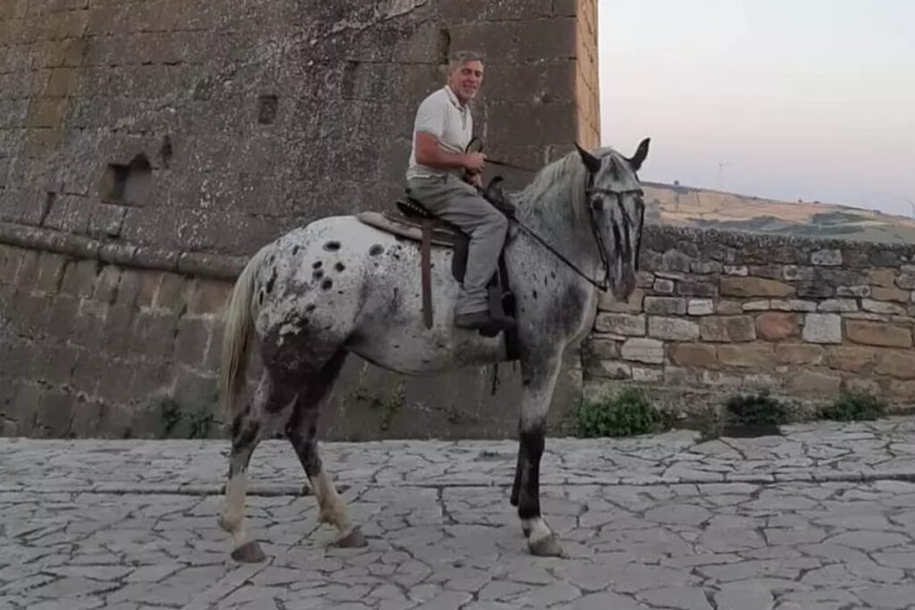 massimiliano a cavallo