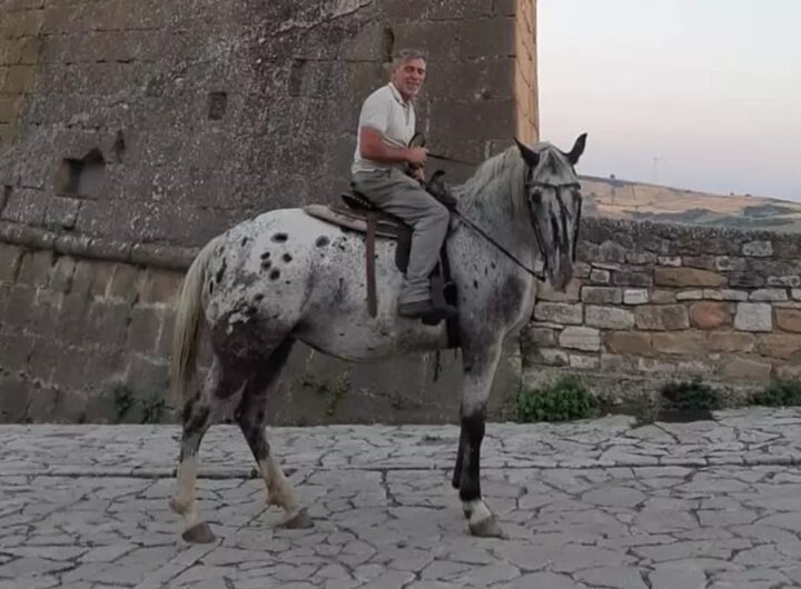 massimiliano a cavallo