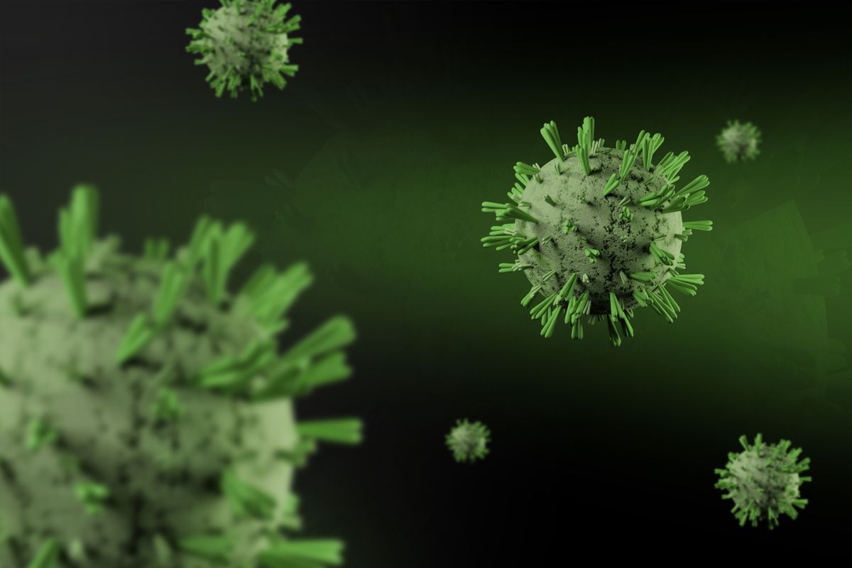 virus