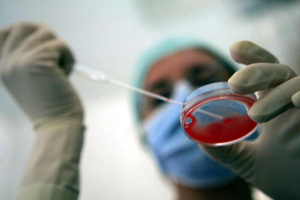 fecondazione in vitro