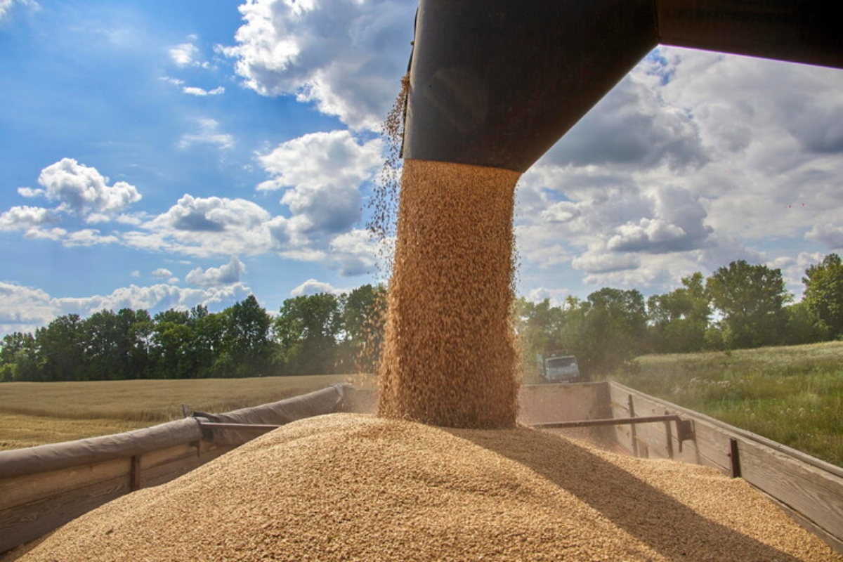 grano 