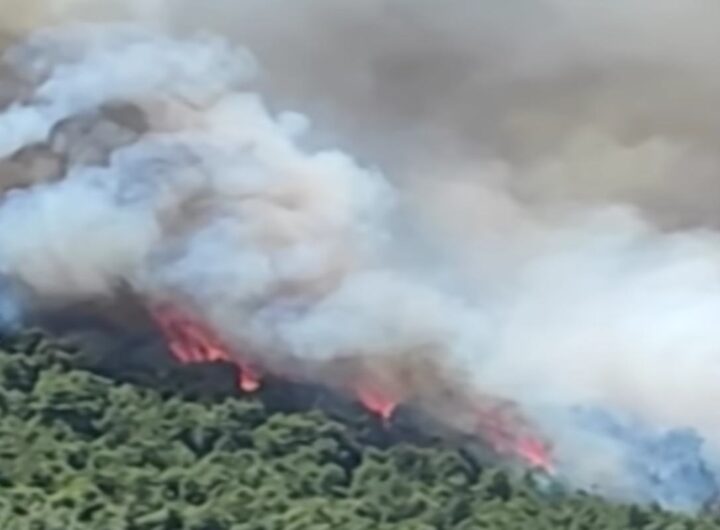 Incendio