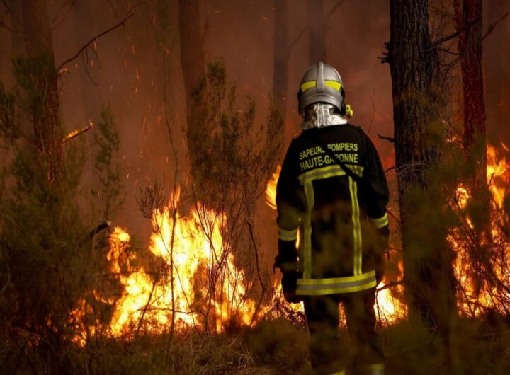 Un incendio