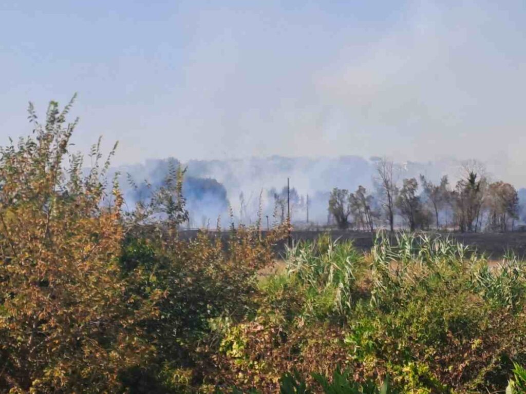 L'incendio a Tor di Valle