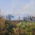 L'incendio a Tor di Valle