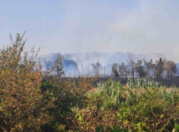 L'incendio a Tor di Valle