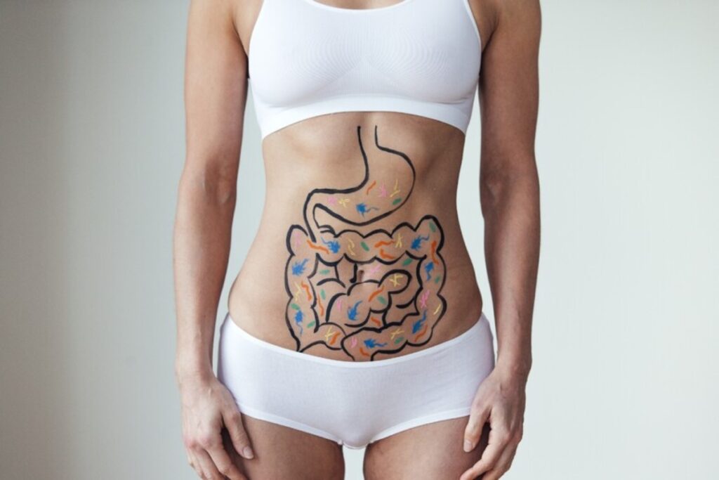 intestino