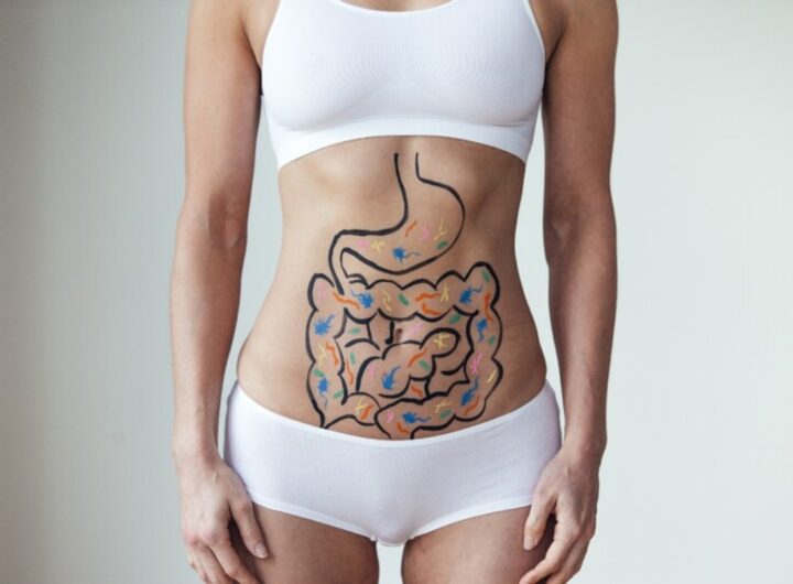 intestino
