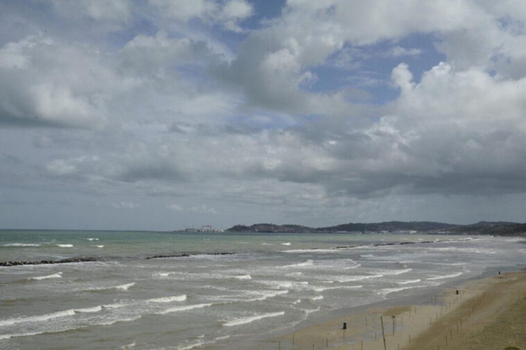 Mare