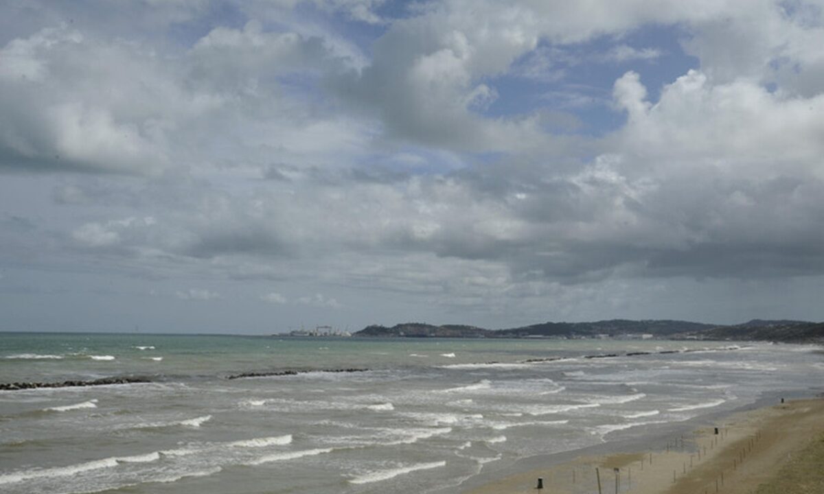 Mare