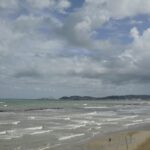 Mare